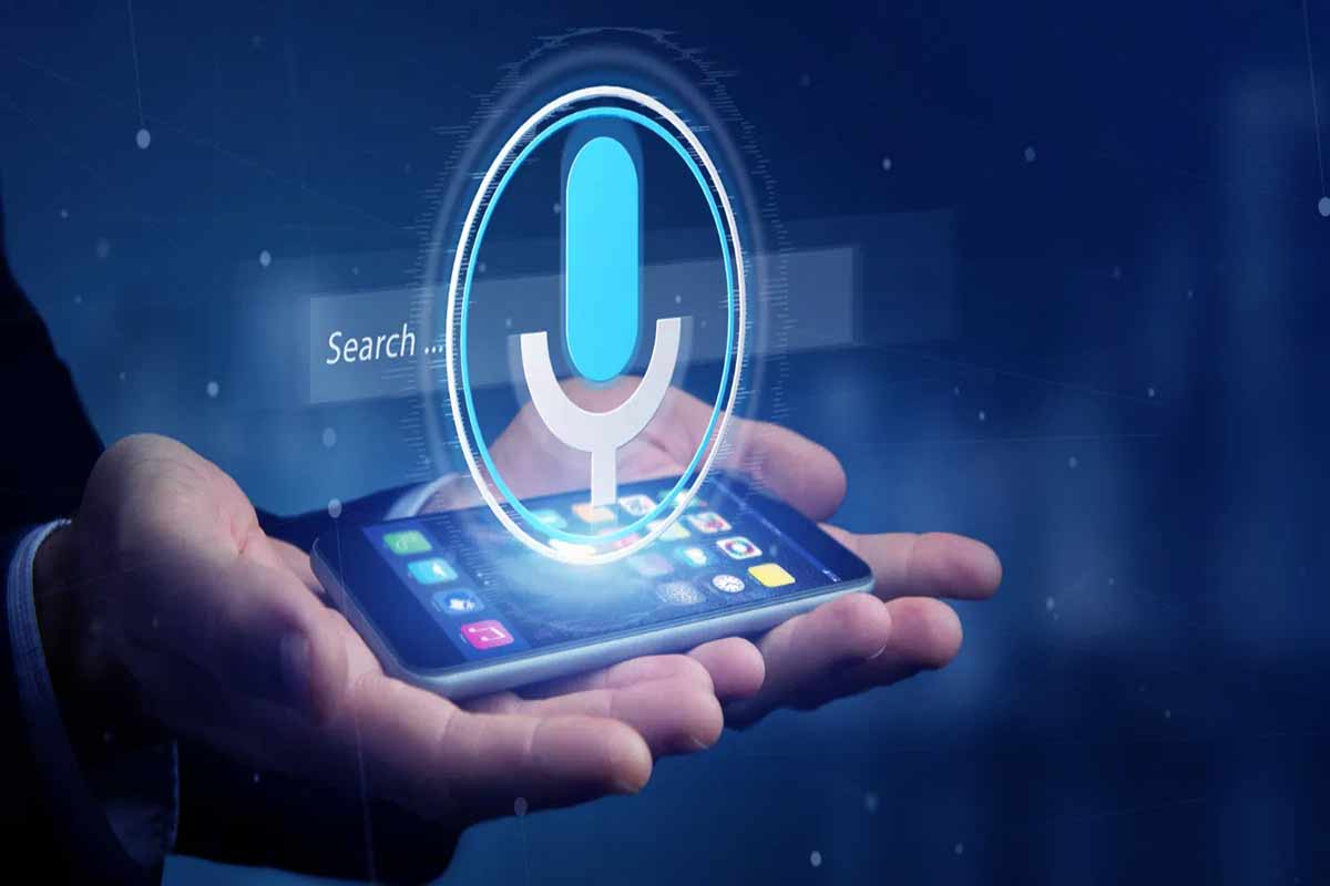 seo-report