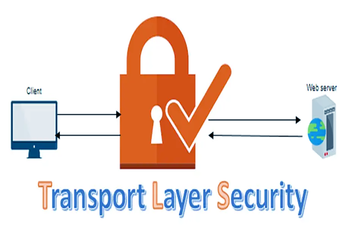   TLS (Transport Layer Security)
